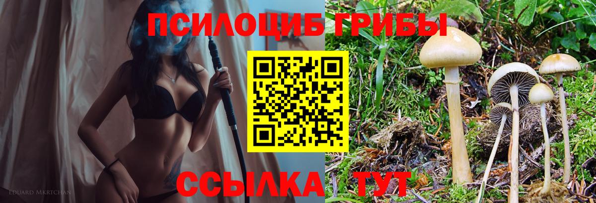 Галлюциногенные грибы мухоморы  Вход с VPN  Серов 