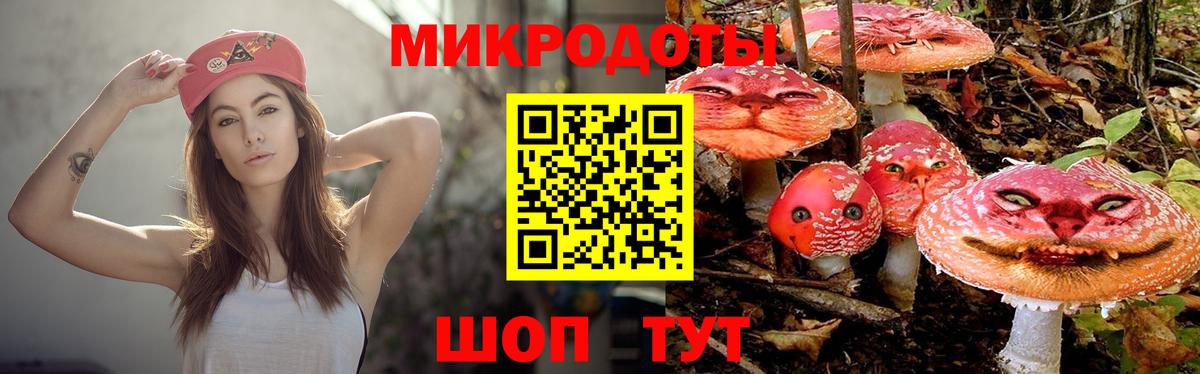 Псилоцибиновые грибы Psilocybine cubensis Серов